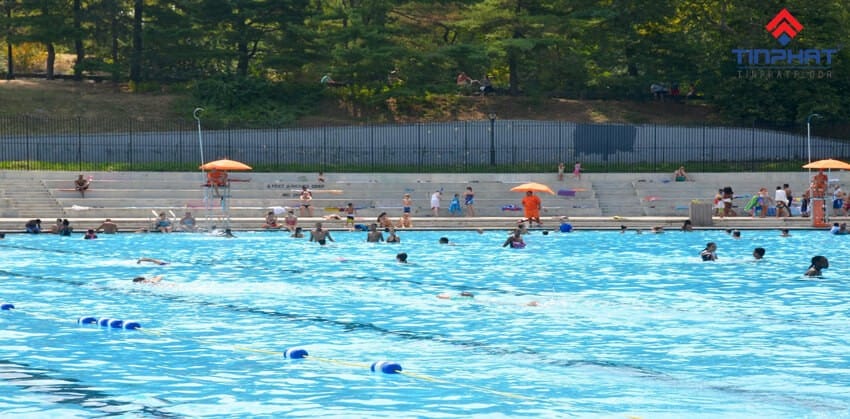 giải pháp sơn epoxy cho bể bơi