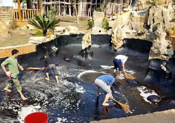 Sơn chống thấm hồ cá KOI