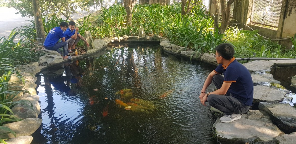 Hồ cá KOI được sơn chống thấm bằng sơn Epoxy