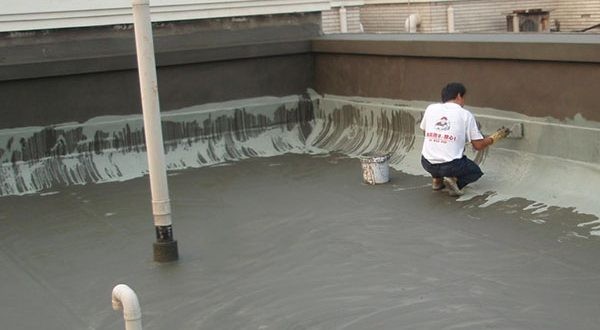 Thi công sơn chống thấm hồ cá diện tích lớn