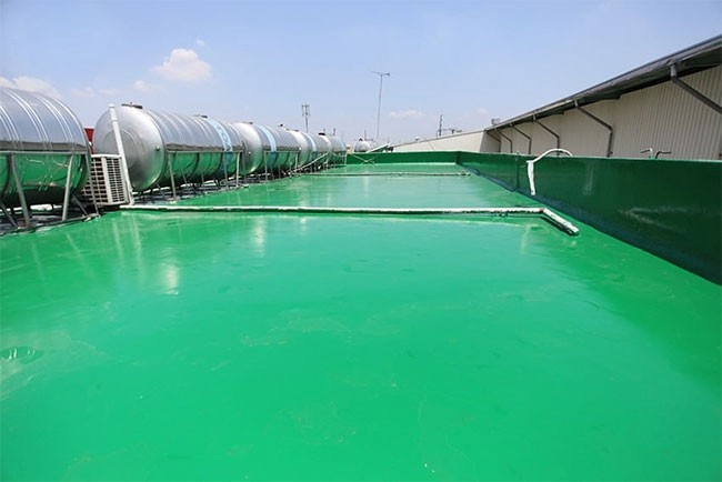 Chống thấm sân thượng bằng sơn Epoxy