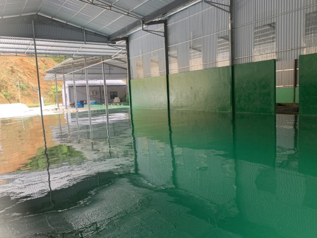 son-epoxy-dai-bang-2