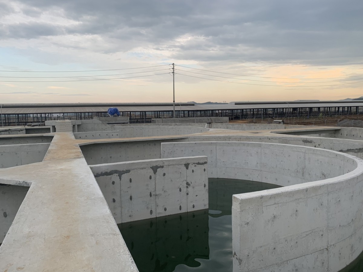 thi công sơn Epoxy chống thấm