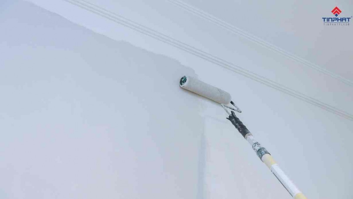 cây lăn sơn tường