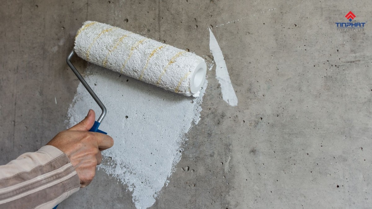 cây lăn sơn tường