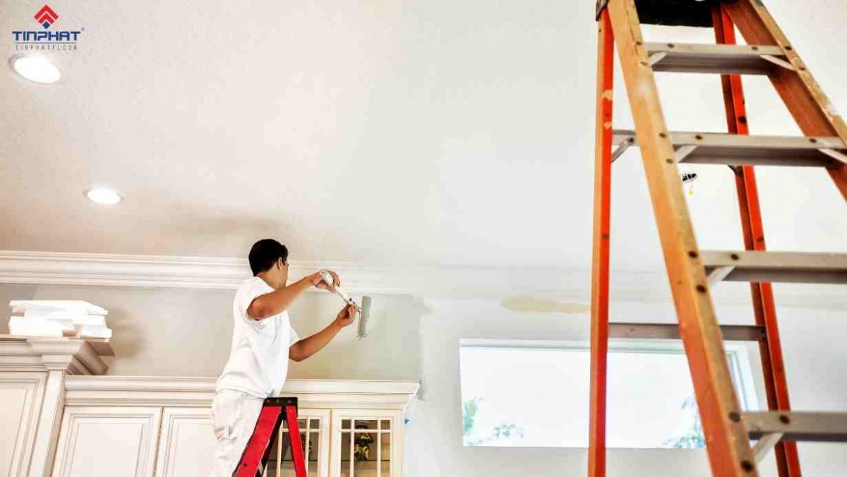 cây lăn sơn tường