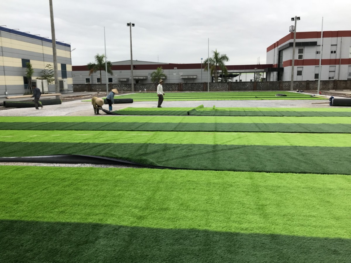 Thi công sân cỏ nhân tạo