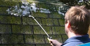 cach-lam-sach-reu-o-san-be-tong