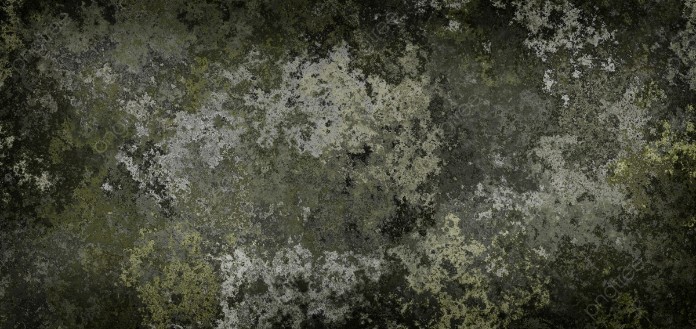 cach-lam-sach-reu-o-san-be-tong