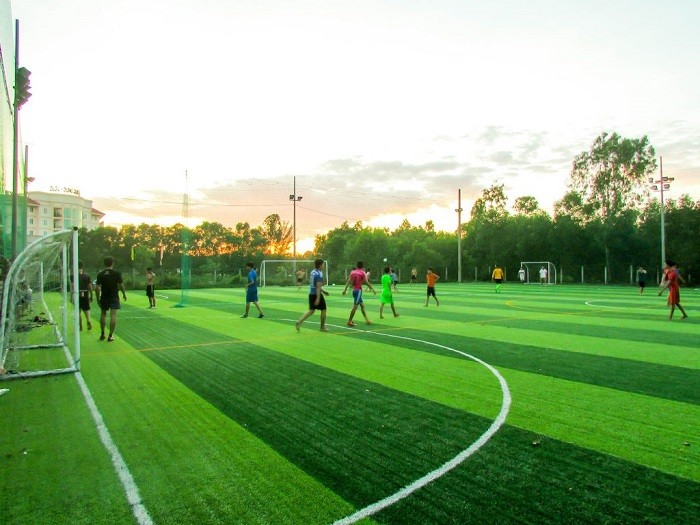 Thi công sân bóng đá cỏ nhân tạo