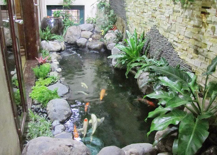 Thiết kế hồ cá koi theo phong thủy: