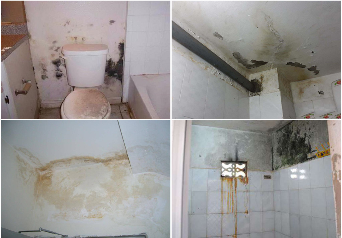 chống thấm nhà vệ sinh