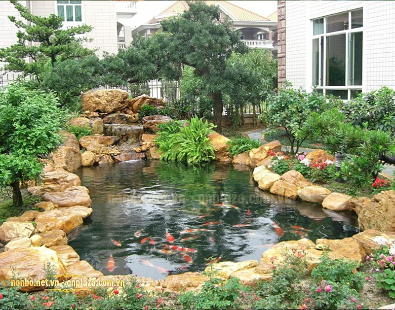 thiết kế hồ cá koi đẹp