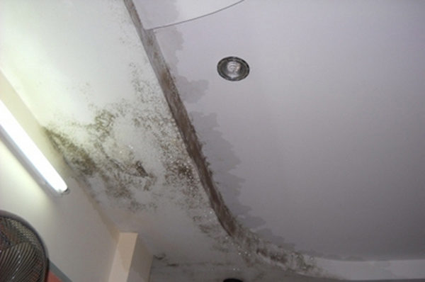 xử lý khe hở giữa mái tôn và tường 