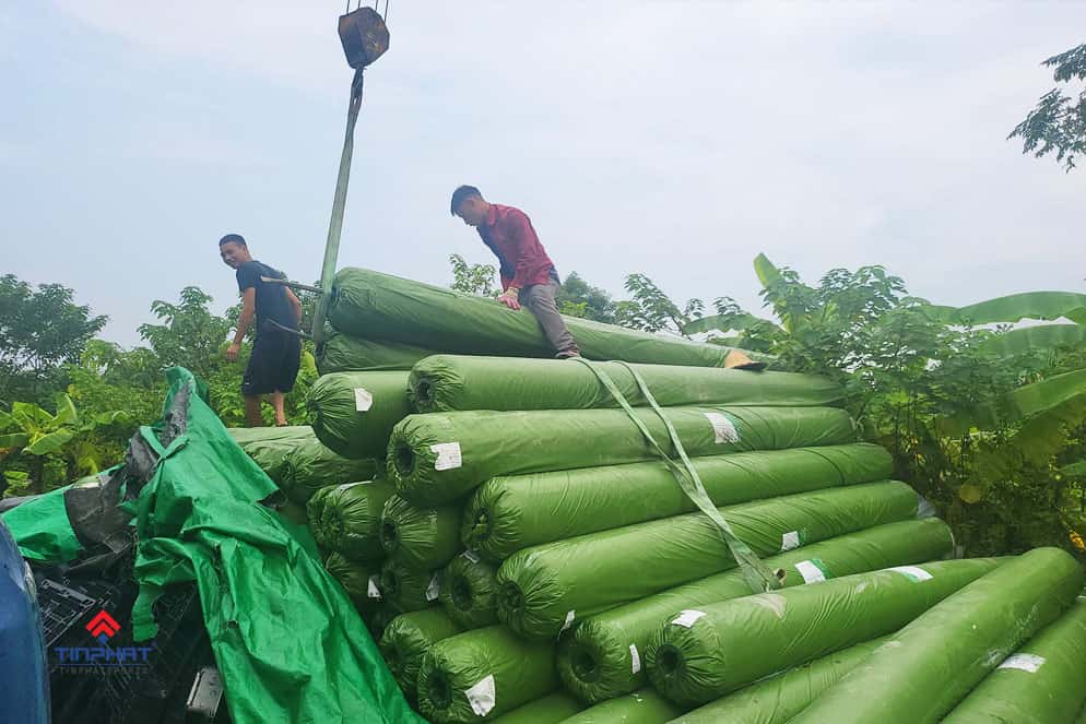 sân bóng đá mini